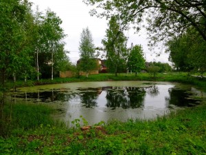 IMG_20150524_190619